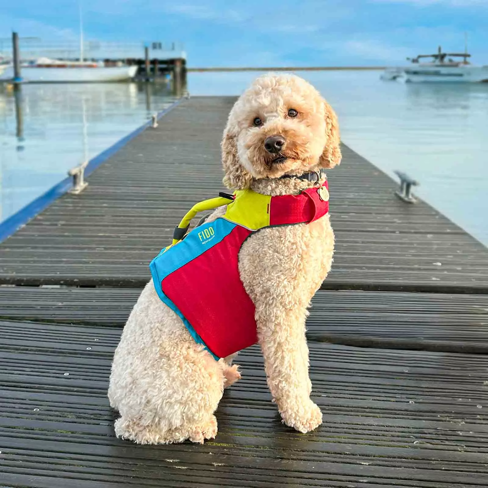 Spinlock_FIDO_-_Sample_web.jpg FIDO Hundeschwimmweste