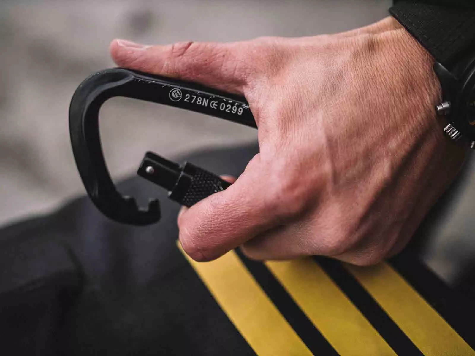 PANA0186_MASTER.jpg KARABINER
